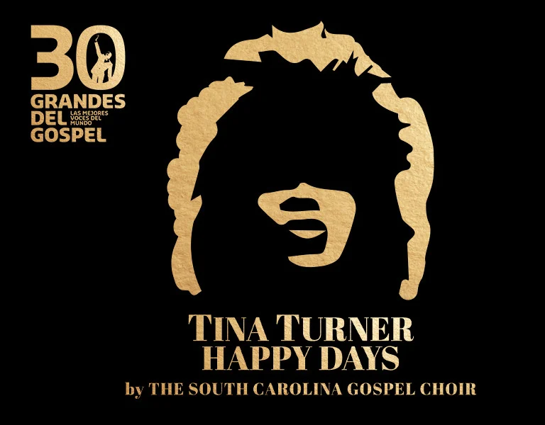 tina turner happy days